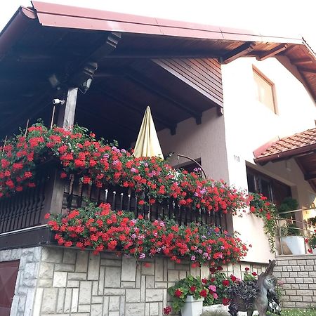 Apartment Vihor Zlatibor Exterior foto